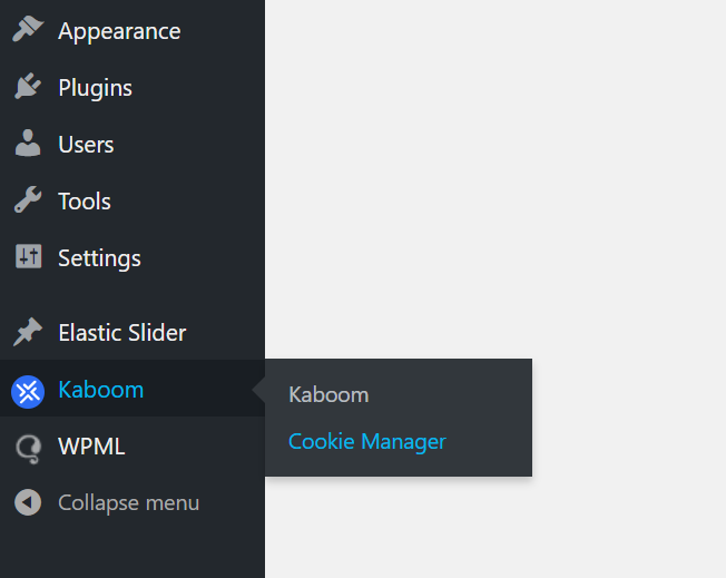 Cookie manager in WordPress dashboard